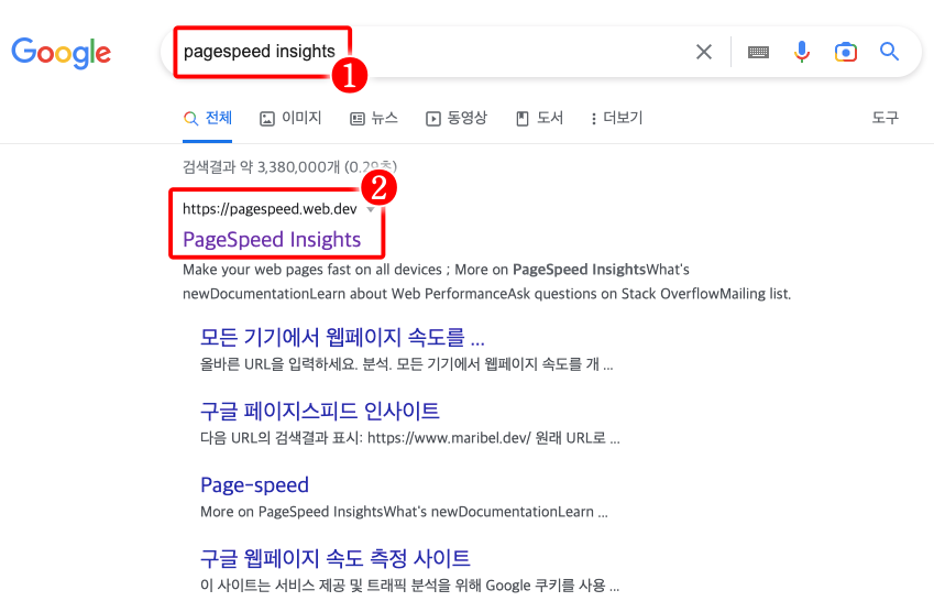 구글 페이지스피드 인사이트 검색