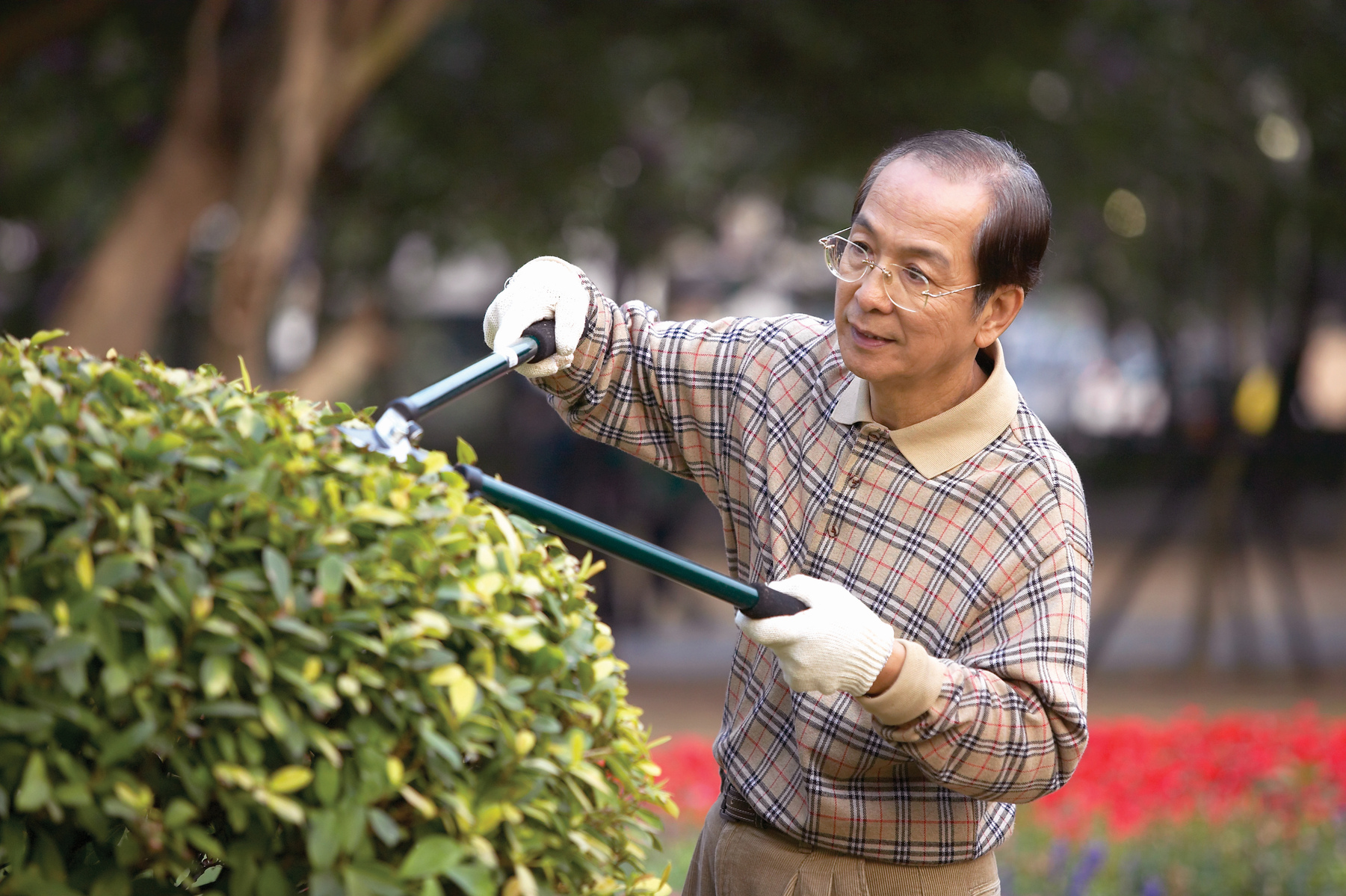 정원을 관리하는 사람