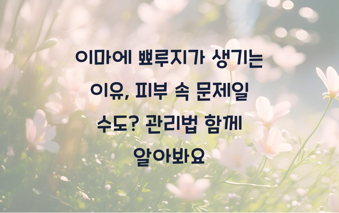 이마에 뾰루지가 생기는 이유, 피부 속 문제일 수도?!