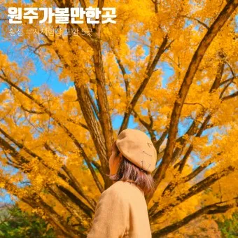 원주 가볼만한곳 베스트10 현지인 추천 필수코스_18
