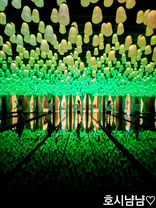 남양주 스파디움24 찜질방 SNS에서 핫한 초록 아트램프 홀