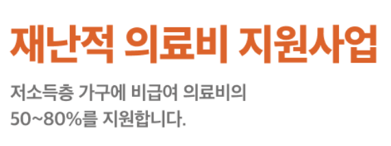 재난적의료비 지원사업