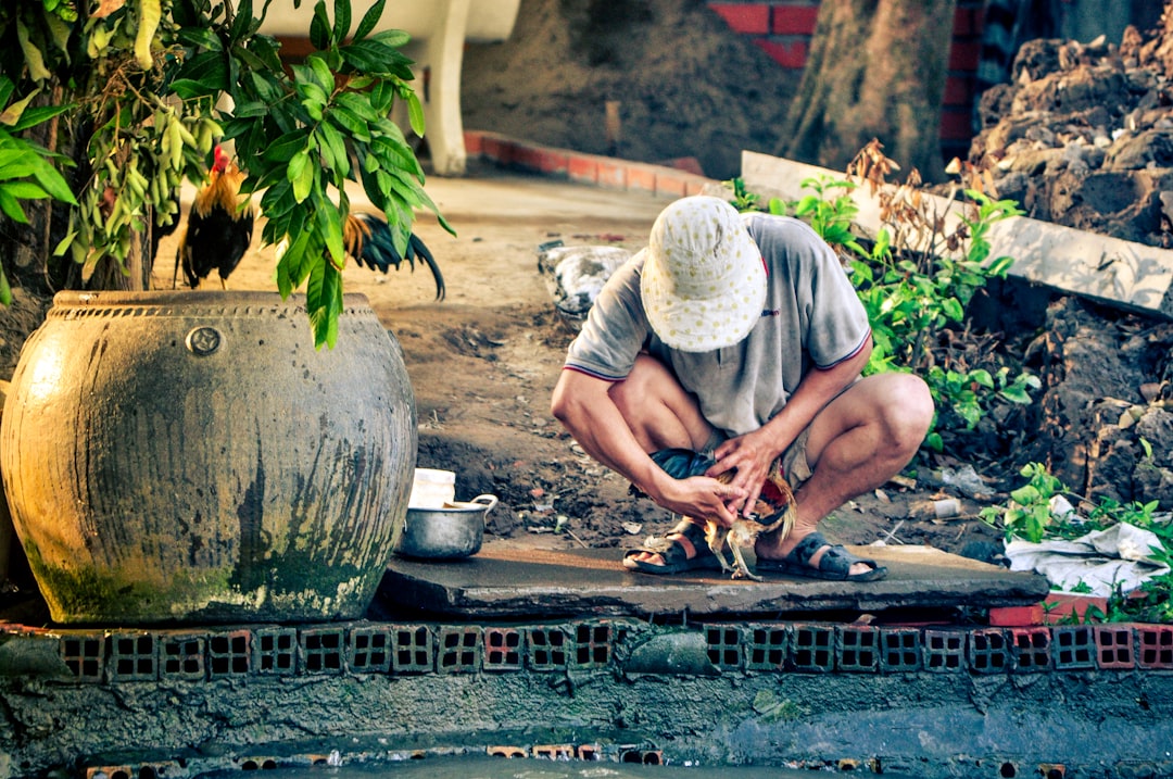 Daily worker