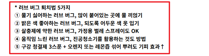 러브버그 퇴치방법6