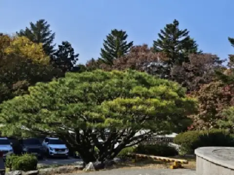 단풍명소-경주여행