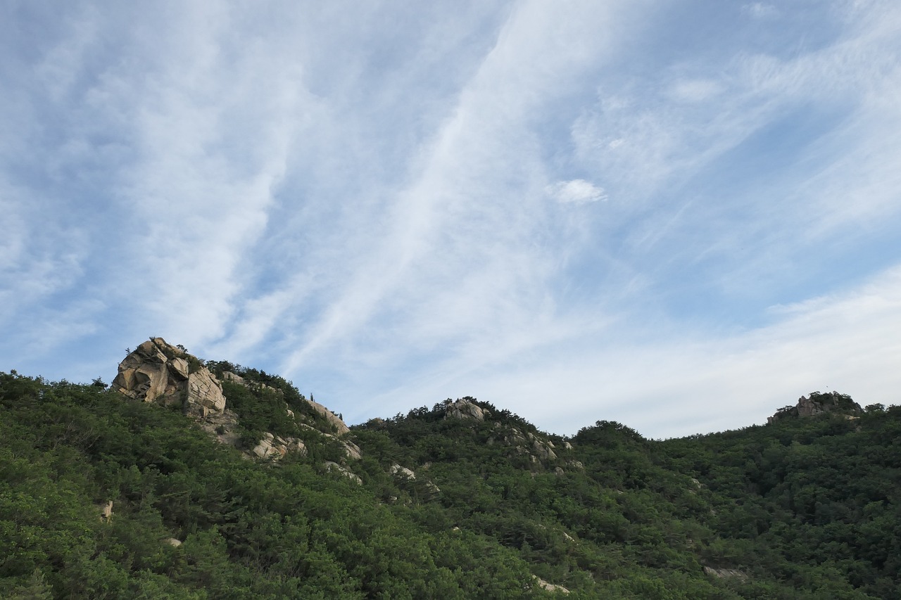 관악산 사진
