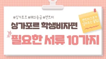 싱가포르 비자 신청 방법 정확하게 알아두기를 위한 체크_23