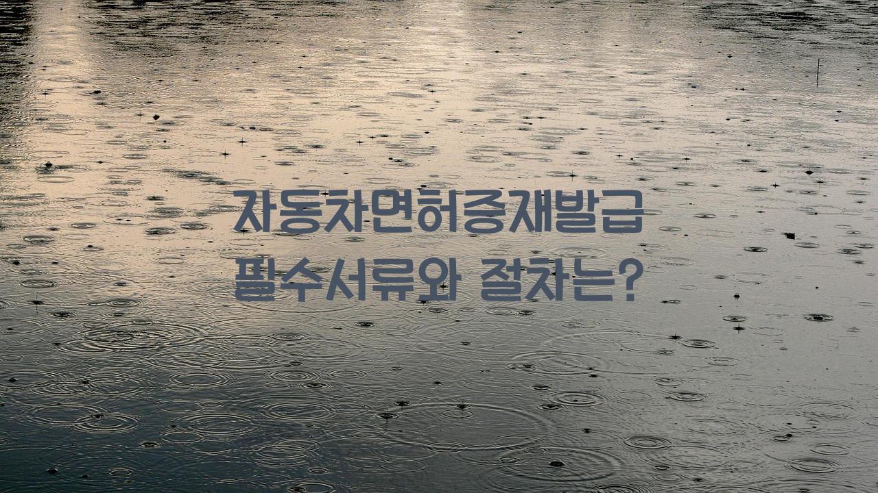 자동차면허증재발급