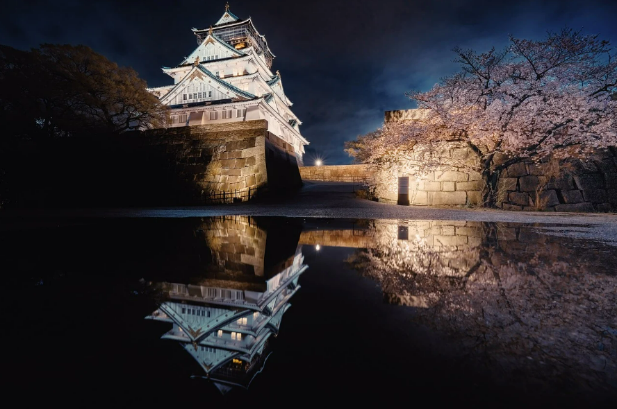 일본 오사카성 벚꽃 사진(야경)