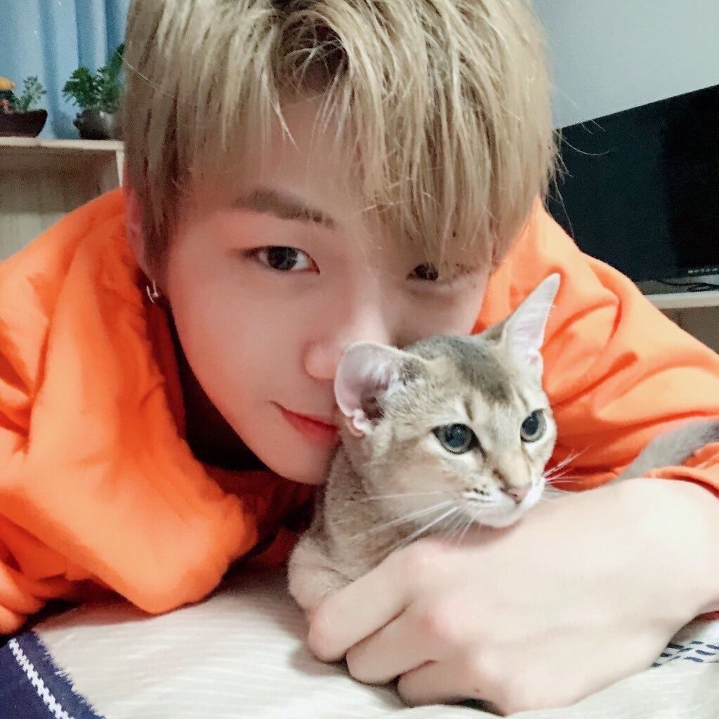 워너원 화보사진