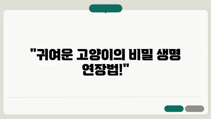 고양이가 수명이 짧게 살 가능성이 있을까?
