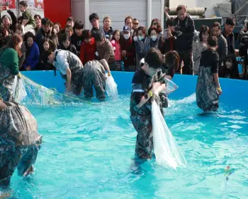 울진 대게축제_24