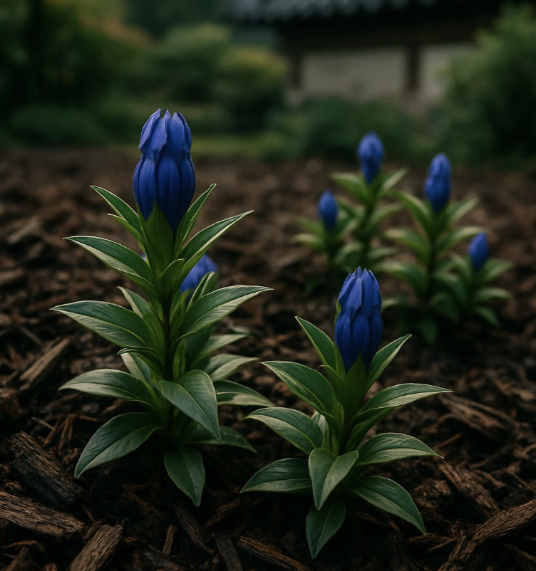 추운 겨울도 거뜬하게, '월동'