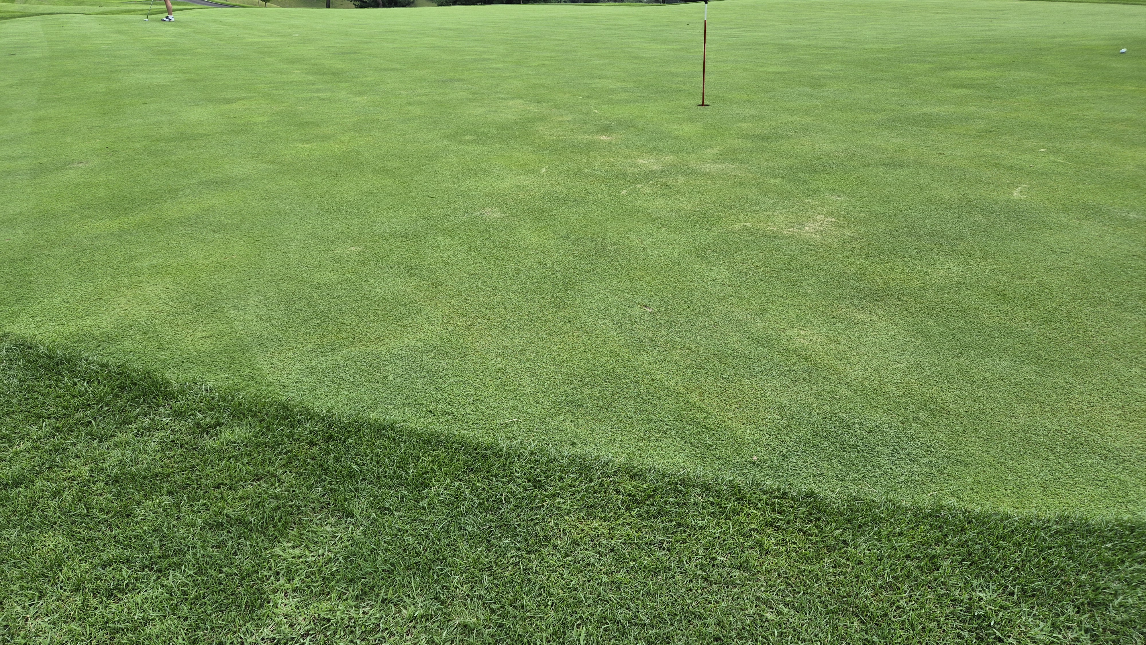 동원썬밸리cc 라운드 후기