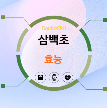 삼백초 효능