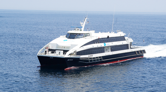 울릉도 배편 예약 배시간 편도 가격 요금 정리 탑승 주의사항 준비물