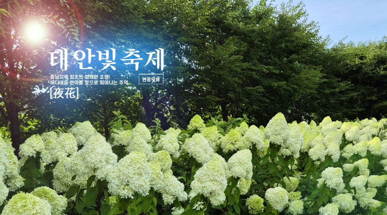 태안 빛축제