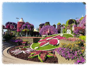 두바이 미라클 가든