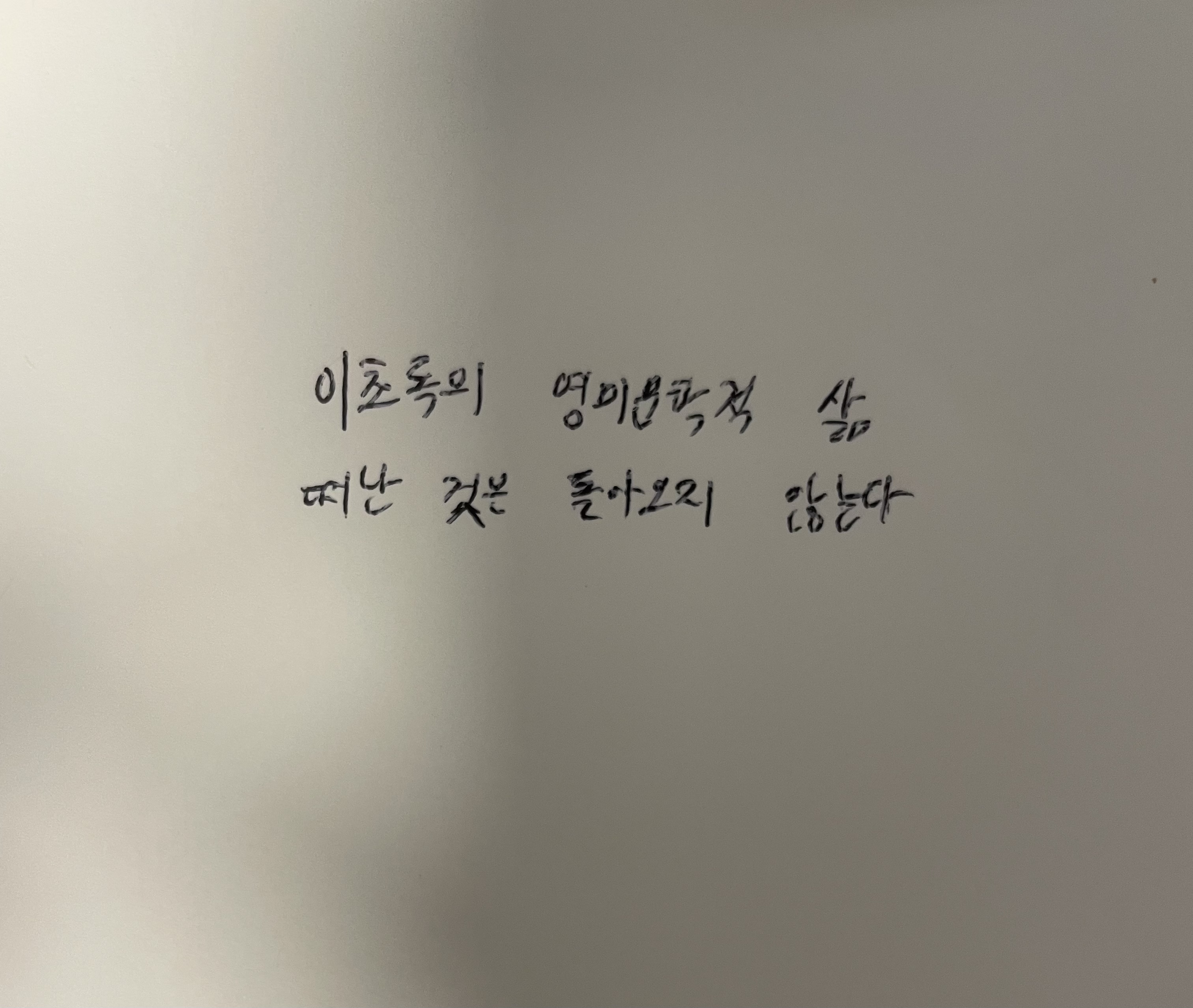 이초록의 영미문학적 삶- 떠난 것은 돌아오지 않는다 줄리언 반스 손글씨