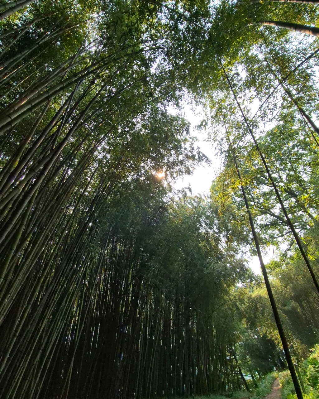 창녕 가볼만한곳 베스트10