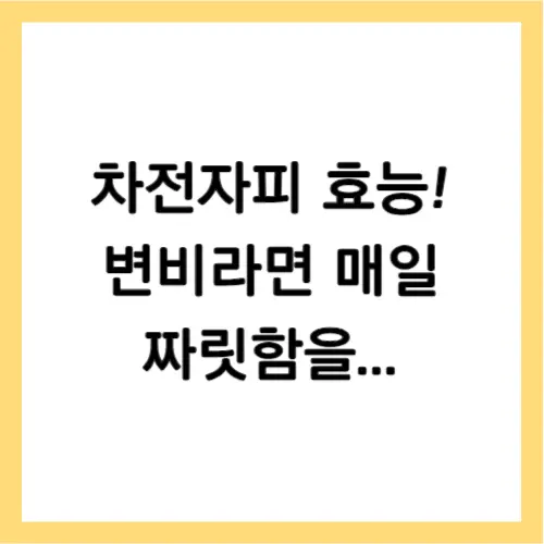 차전자피 효능