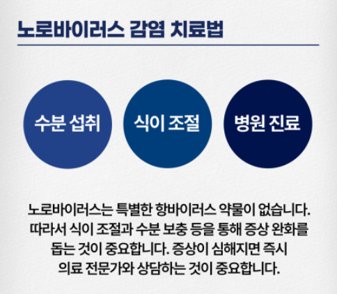 노로바이러스 치료방법