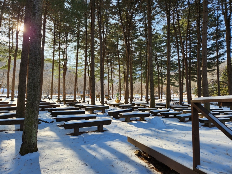 유명산 자연휴양림