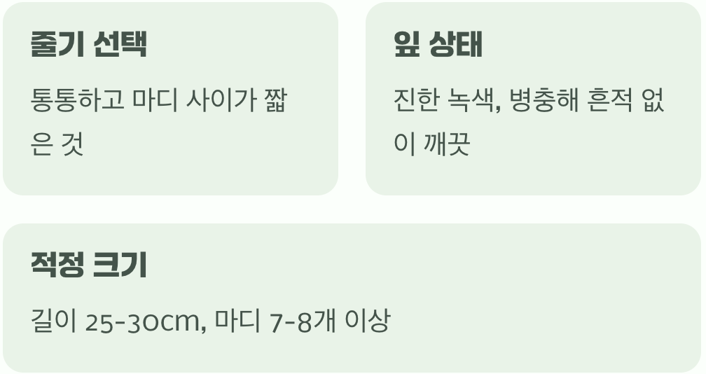 좋은 순이 '풍년'을 결정한다