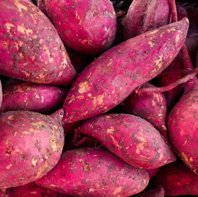 귀에 좋은 음식