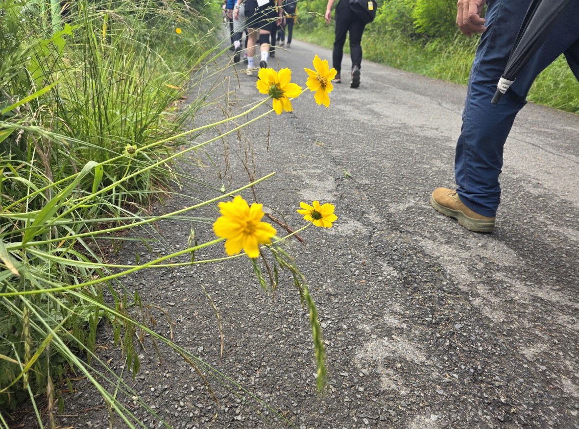 “꾸지나무골해변에서 학암포까지”