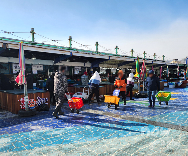 묵호항-활어판매센터