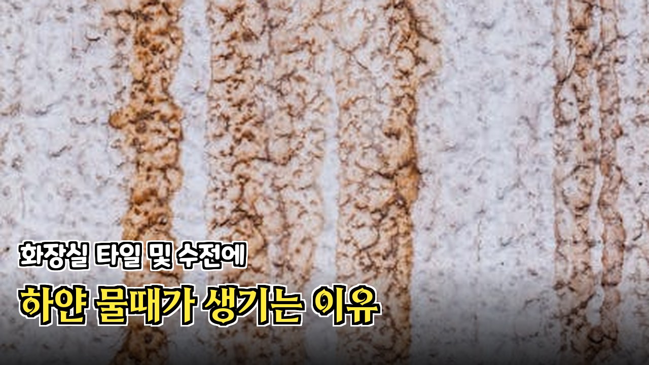 레몬즙으로 기름기 제거하는 방법