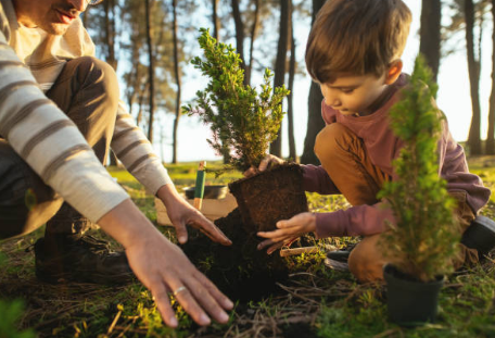 산림복지일자리사업으로 삶의 질을 높이는 방법