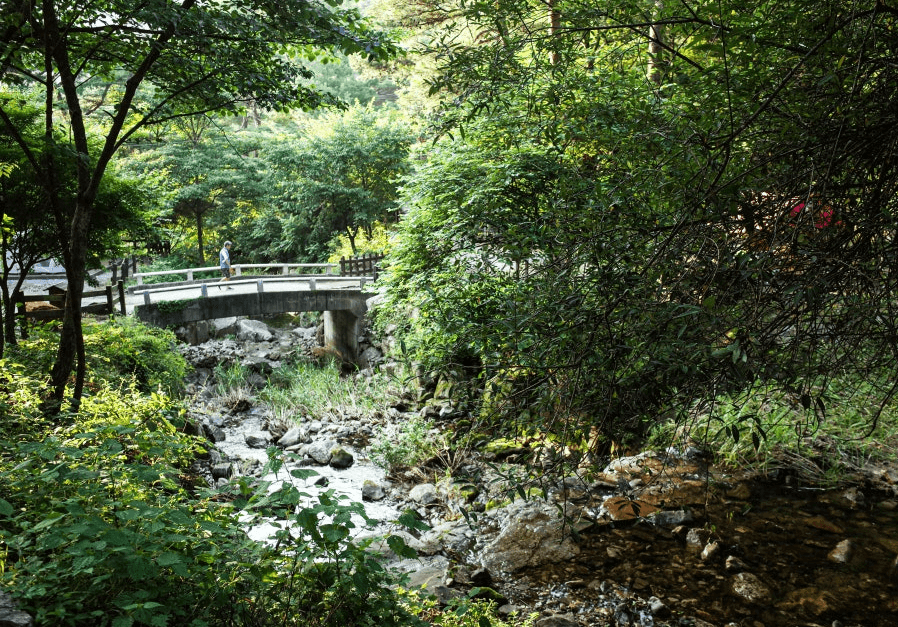 박달재자연휴양림