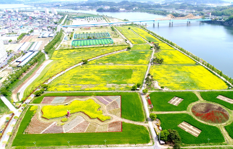 2025 창녕 낙동강 유채 축제