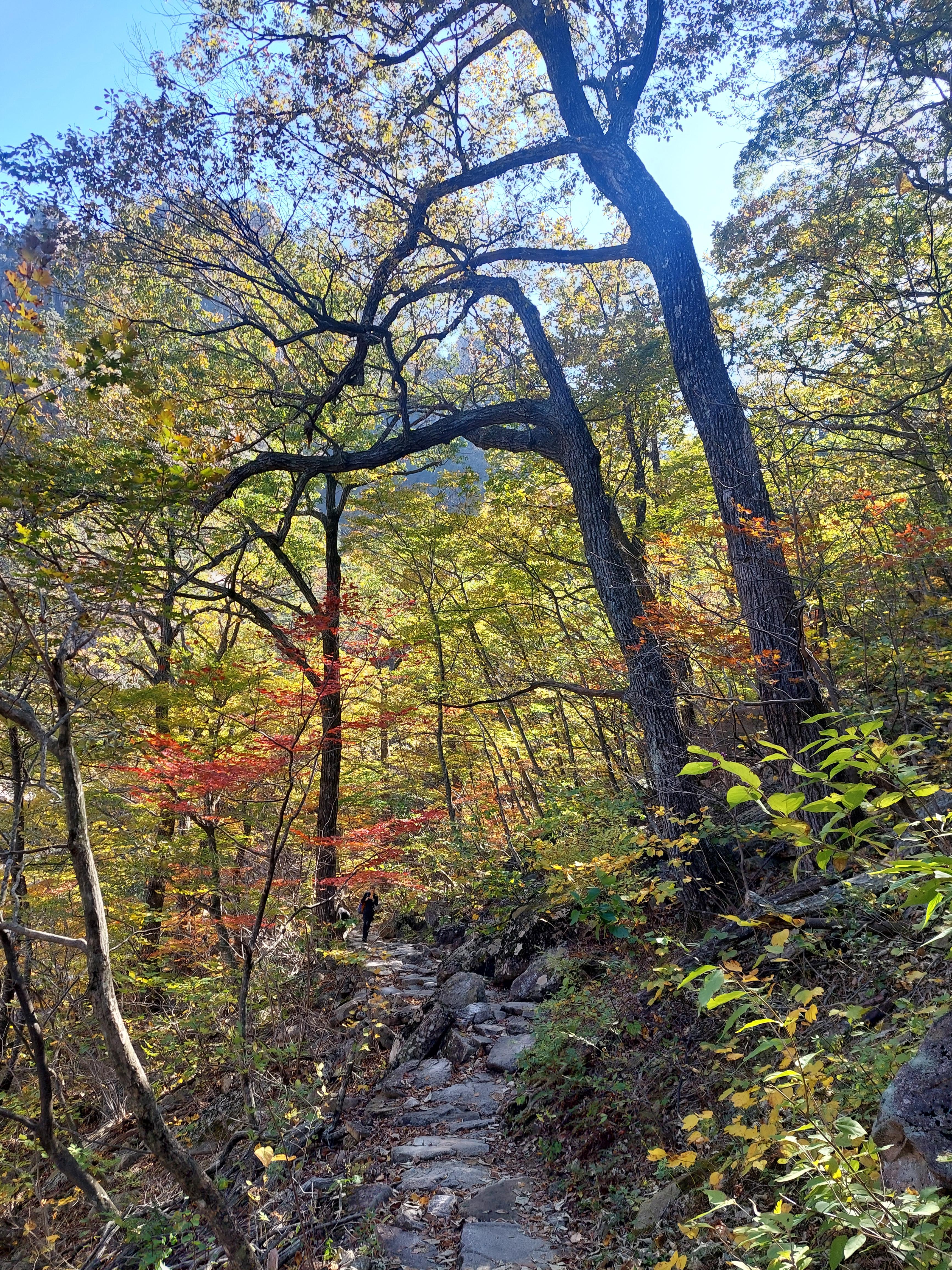 설악산
