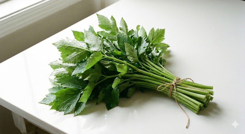 하늘이 내린 천사의 약초, 암세포를 잡는 강력한 항산화 방패