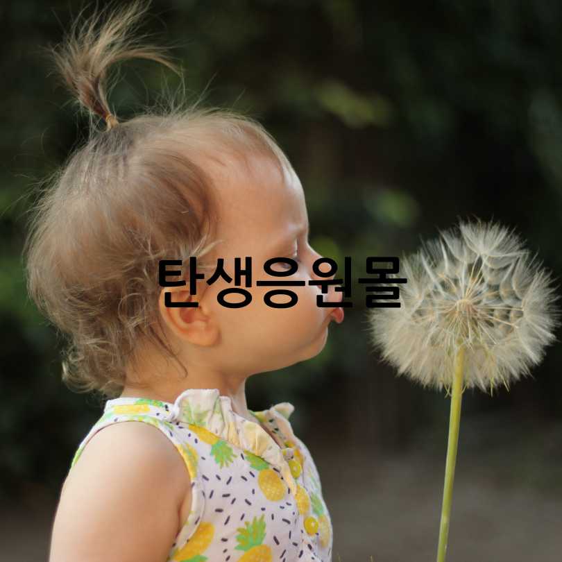 탄생응원몰,다자녀카드혜택