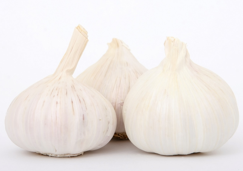 정력-마늘