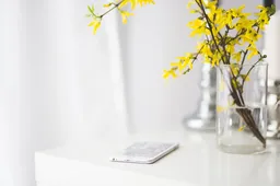 중고 아이폰 eSIM 삼성 단말 eSIM 초기화 방법