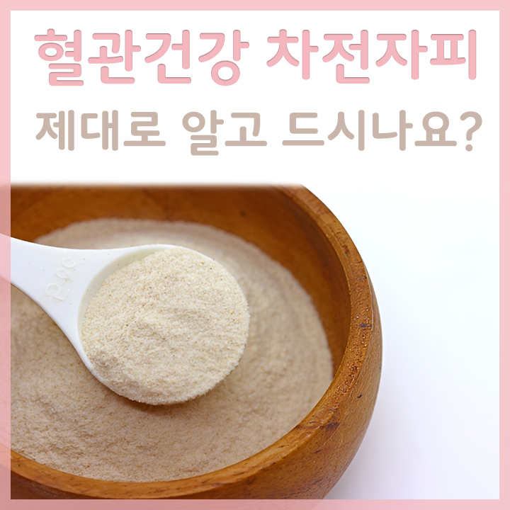 차전자피-분말