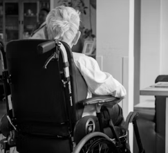 알츠하이머병 증상 원인 예방 가이드북