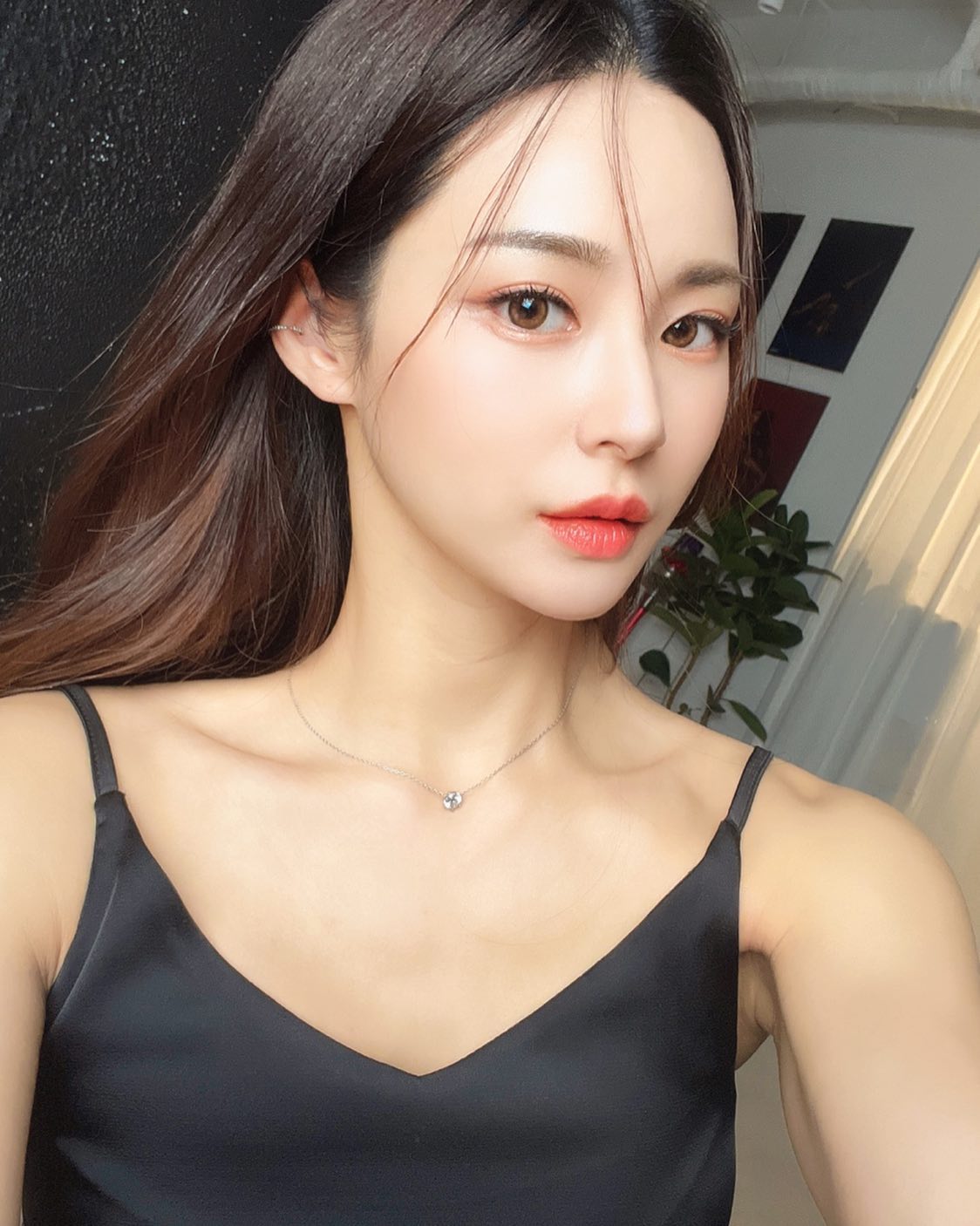피티니스 모델 이송이