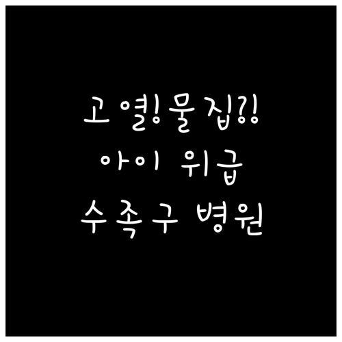 아이가 갑자기 고열과 물집 생겼다면 ..