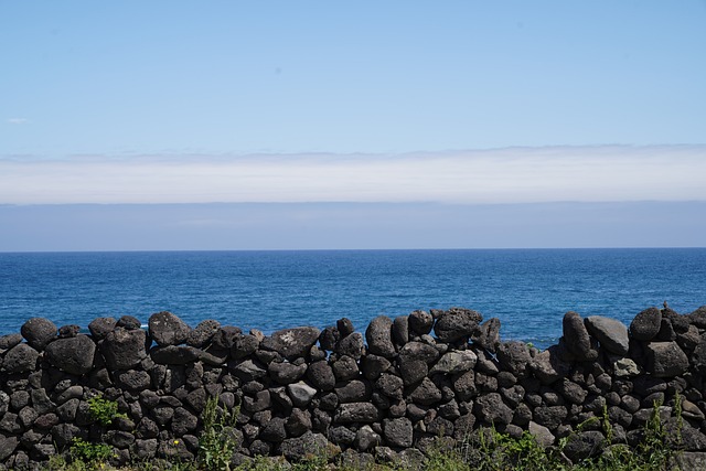 8월 제주도 여행: 여름의 정점에서 만나는 힐링과 액티비티