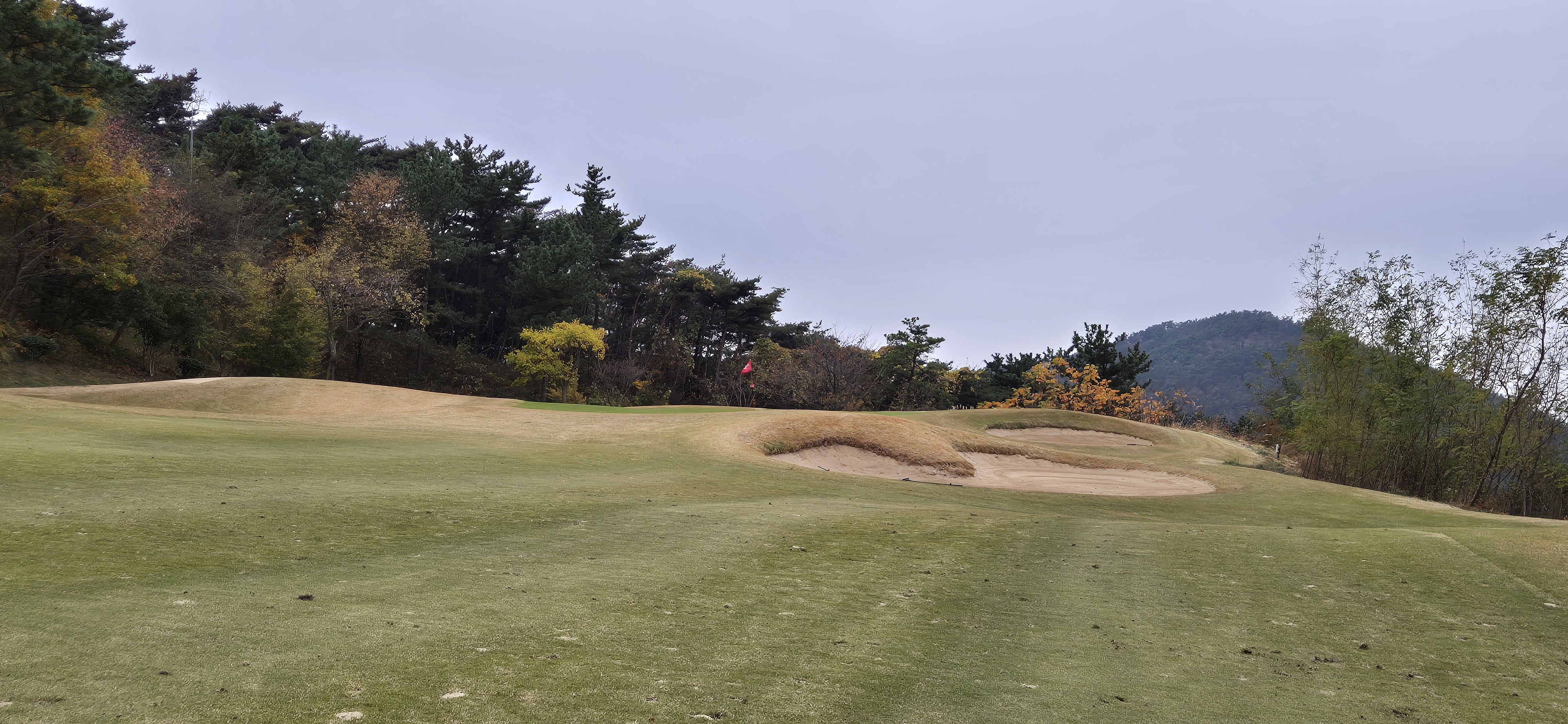 골든베이cc 오션 코스 사진 및 공략 정보