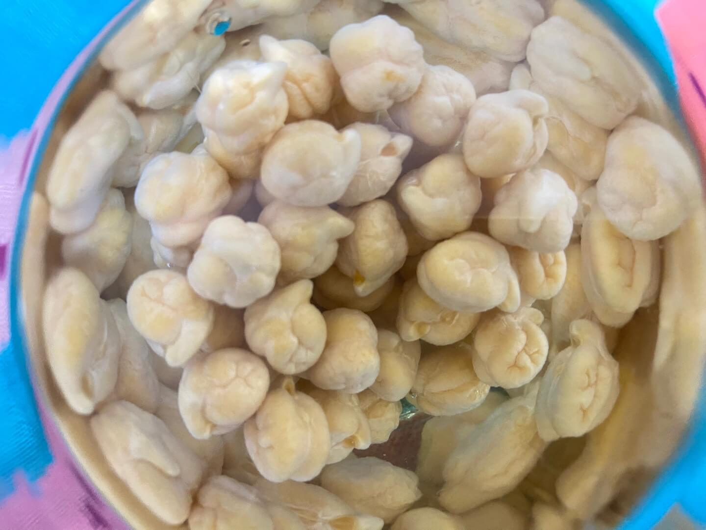 물에 불린 병아리콩 삶는 방법