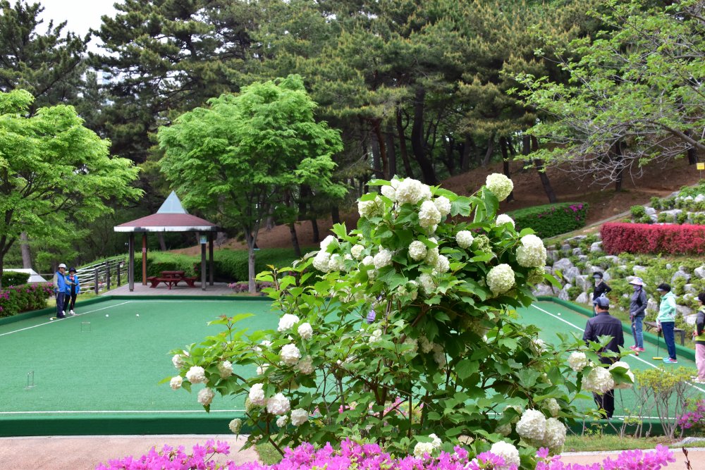 연제문화체육공원