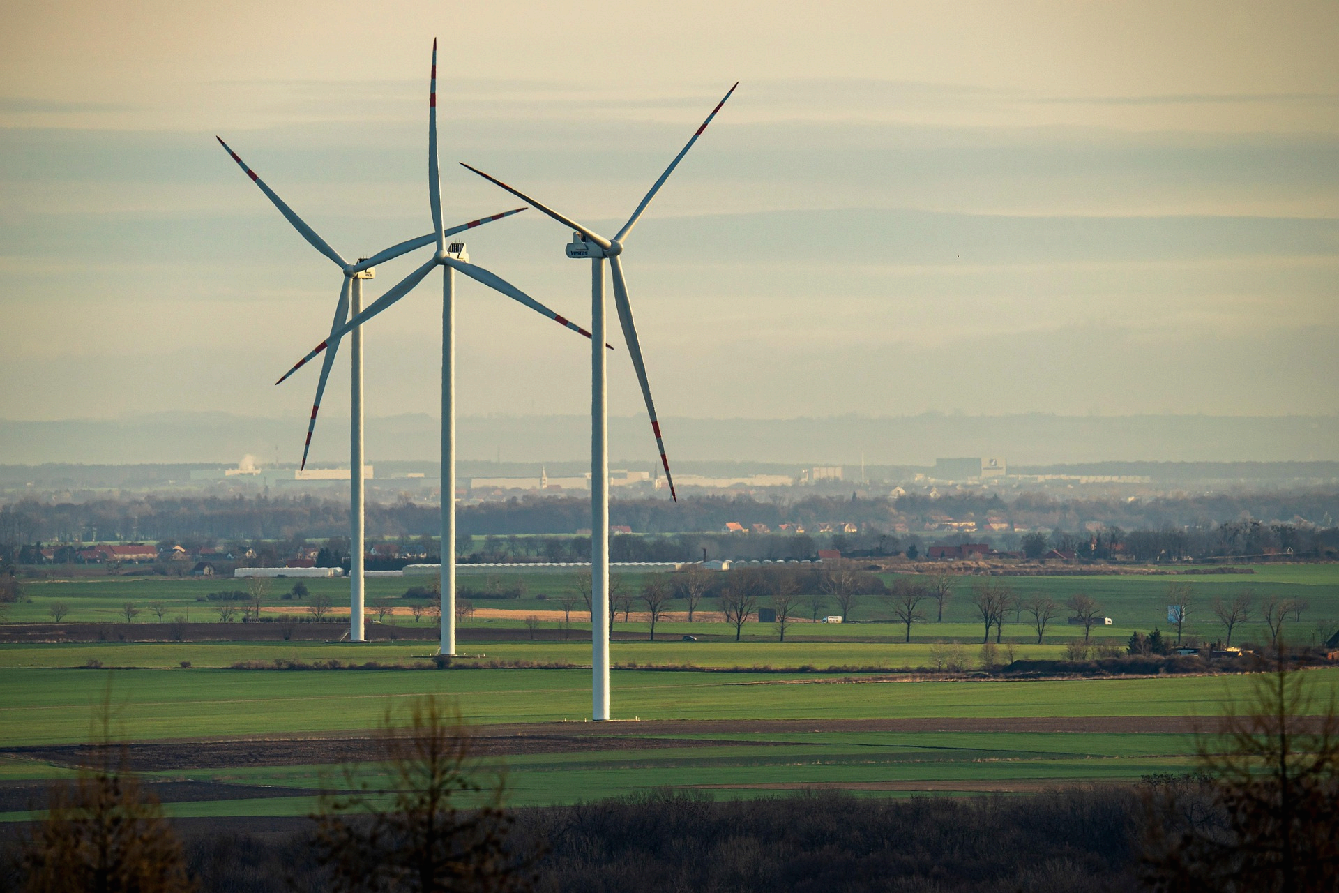 실패를 두려워하지 않는 법: 회복탄력성으로 다시 일어나는 법