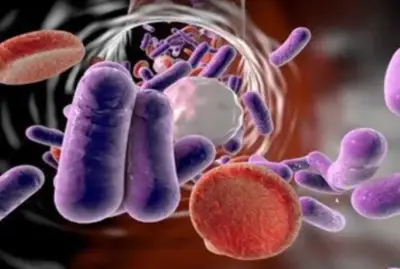 폐렴구균-예방접종-무료-대상-병원-찾기-순서-건강